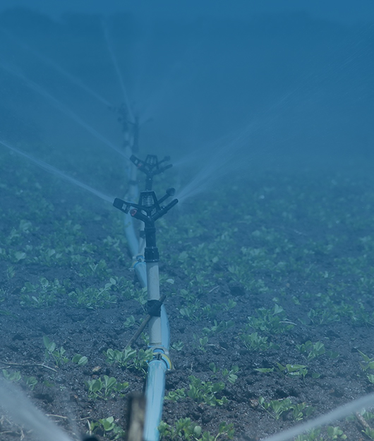 2025 國(guó)產(chǎn)肥料養(yǎng)分檢測(cè)儀市場(chǎng)競(jìng)爭(zhēng)力排名出爐 五大品牌重塑行業(yè)格局