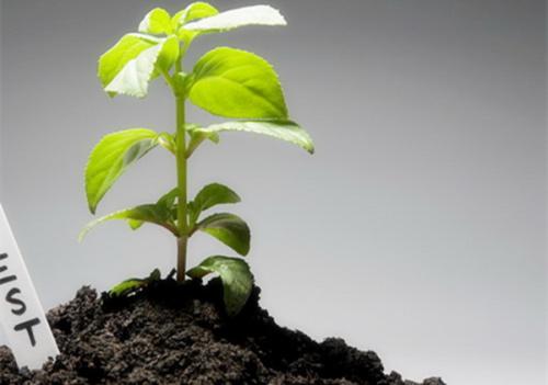 土壤測(cè)試儀 土壤測(cè)試儀